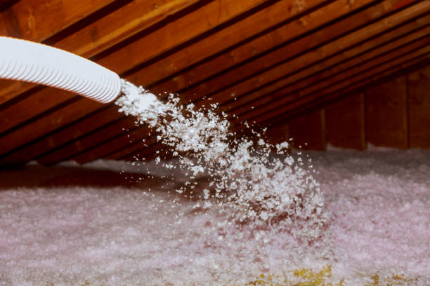 Best Energy-Efficient Insulation  in Portales, NM