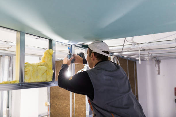 Best Fiberglass Insulation  in Portales, NM
