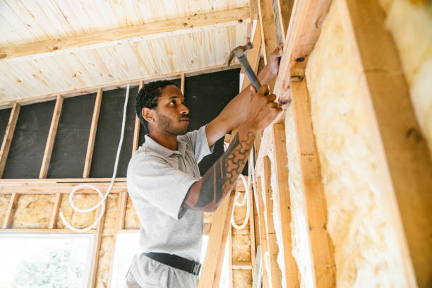 Best Spray Foam Insulation  in Portales, NM