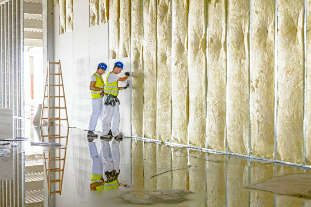 Best Insulation Replacement Services  in Portales, NM